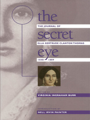 cover image of The Secret Eye